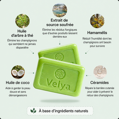 Savon Antifongique Velya®